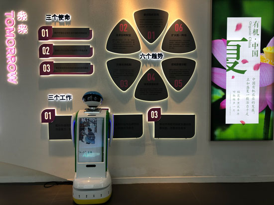 博物馆机器人能做哪些事?能不能按需求定制